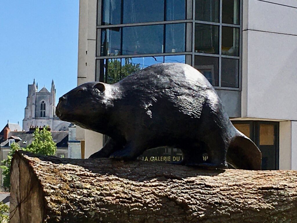 Un castor sur un arbre couché Le Voyage à Nantes