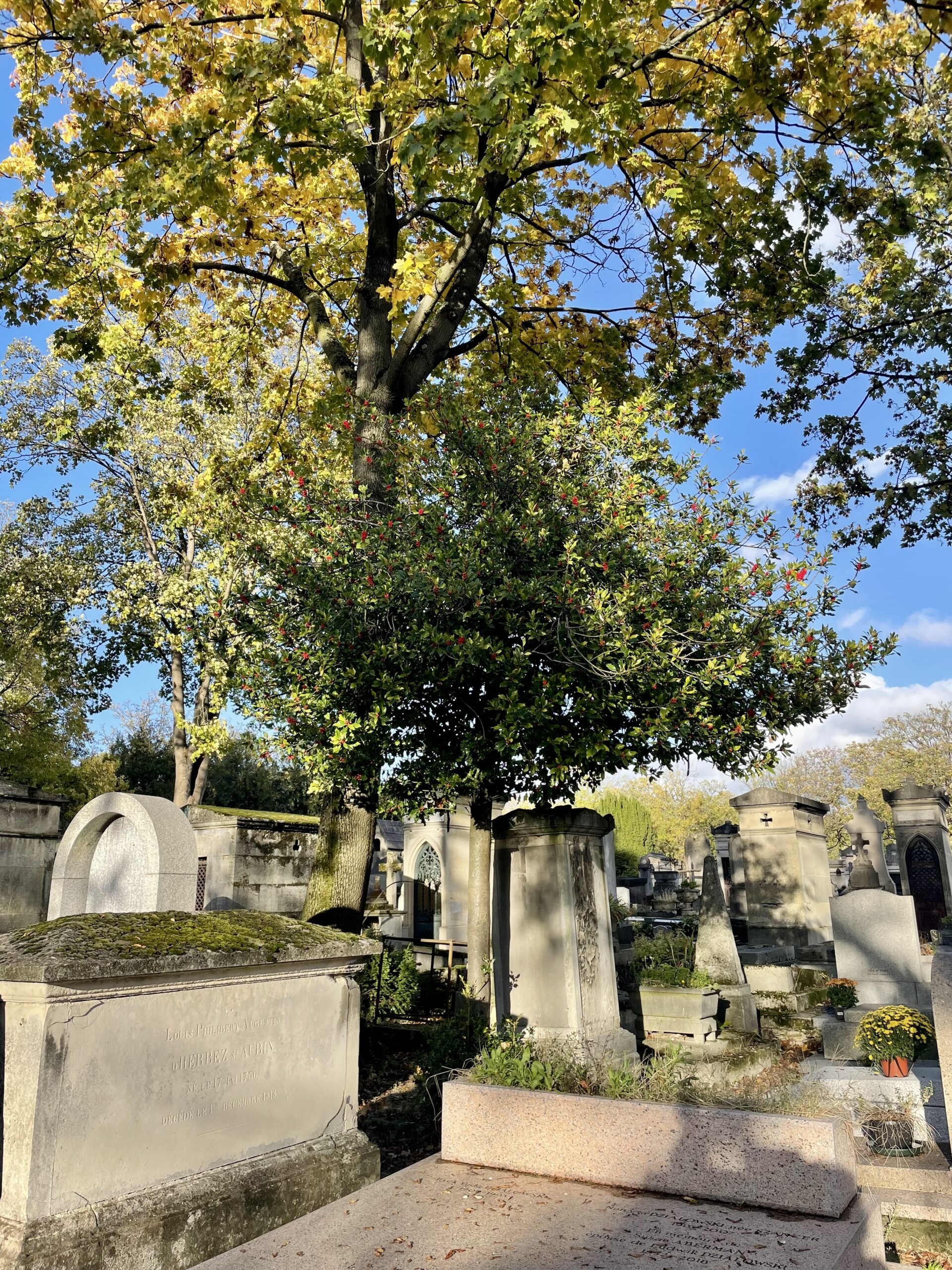 You are currently viewing Au Père Lachaise avec Camille Paix, restauratrice du « matrimoine funéraire »