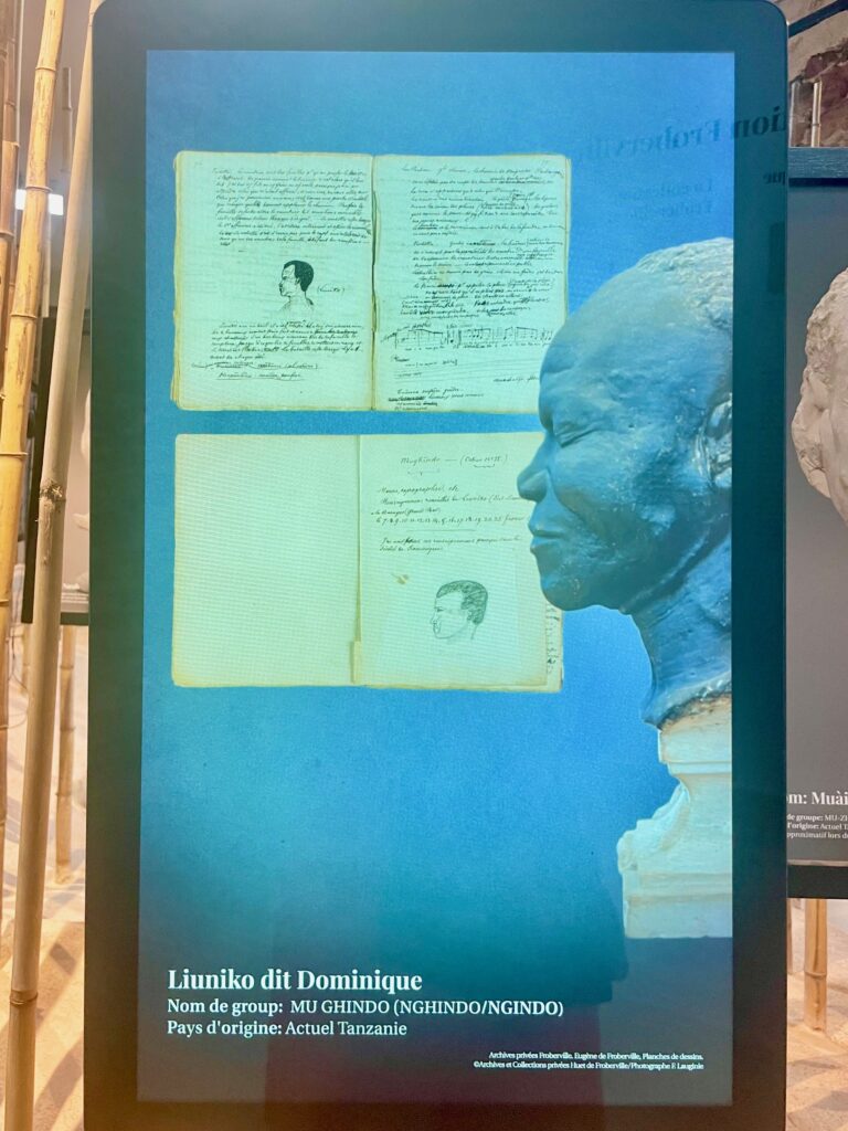 Exposition de préfiguration de la collection d’Eugène de Froberville au musée mauricien © S. Patel De Zorzi