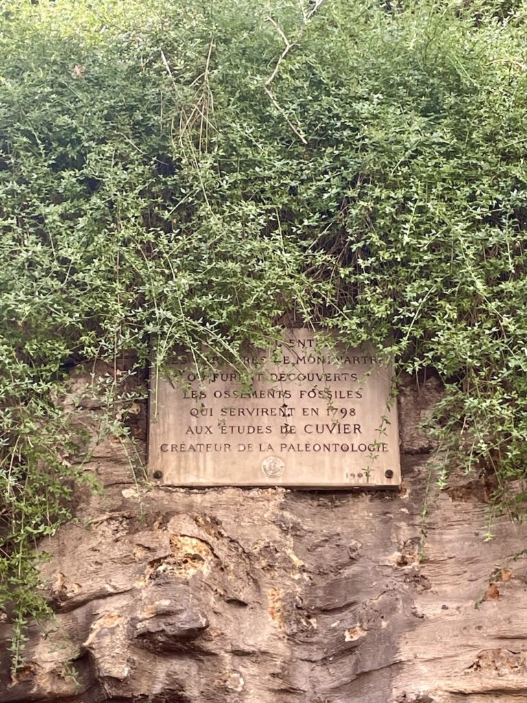 Plaque citant Georges Cuvier rue Charles Nodier, Paris 18e © Soraya Patel De Zorzi