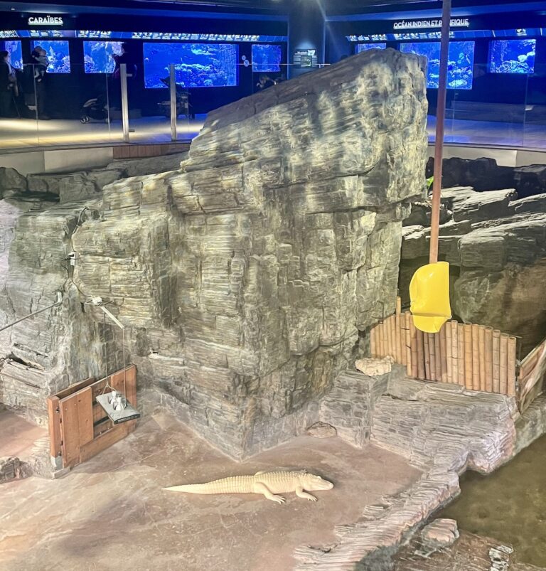 Un crocodile albinos à l'Aquarium tropical de la Porte Dorée © Soraya Patel De Zorzi.